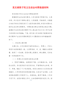 党支部班子民主生活会对照检查材料