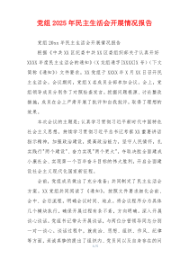 党组2025年民主生活会开展情况报告