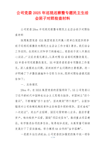 公司党委2025年巡视巡察整专题民主生活会班子对照检查材料