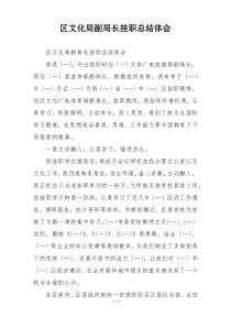 区文化局副局长挂职总结体会