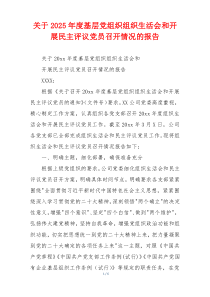 关于2025年度基层党组织组织生活会和开展民主评议党员召开情况的报告