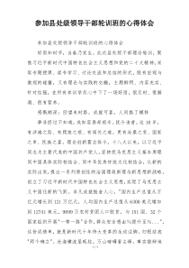 参加县处级领导干部轮训班的心得体会