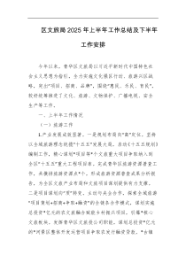 区文旅局2025年上半年工作总结及下半年工作安排