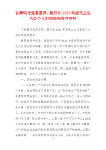 农商银行党委委员、副行长2025年度民主生活会个人对照检视发言材料