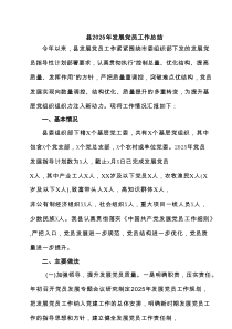 县2025年发展党员工作总结(精品4篇)