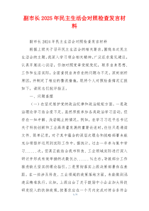 副市长2025年民主生活会对照检查发言材料