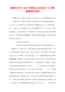 副镇长关于2025年度民主生活会个人对照查摆剖析材料