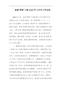 县委两新工委2025年上半年工作总结
