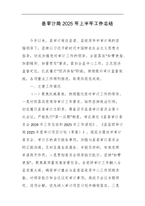 县审计局2025年上半年工作总结