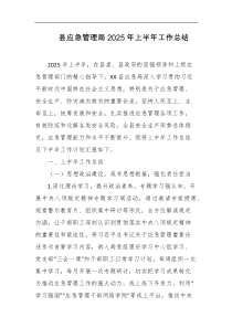 县应急管理局2025年上半年工作总结