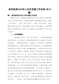 县民政局2025年上半年党建工作总结10篇(最新精选)