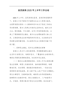 县民政局2025年上半年工作总结