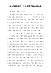 参加巡察巡视工作的经验总结心得体会