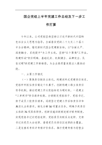 国企党组上半年党建工作总结及下一步工作打算