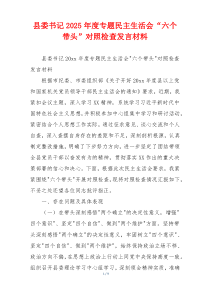 县委书记2025年度专题民主生活会“六个带头”对照检查发言材料
