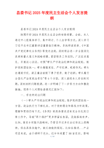 县委书记2025年度民主生活会个人发言提纲
