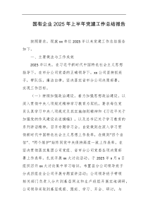 国有企业2025年上半年党建工作总结报告
