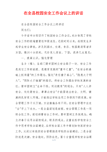 在全县校园安全工作会议上的讲话