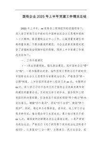 国有企业2025年上半年党建工作情况总结