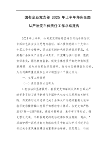 国有企业党支部2025年上半年落实全面从严治党主体责任工作总结报告