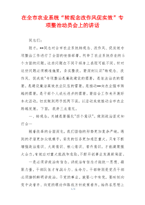 在全市农业系统“转观念改作风促实效”专项整治动员会上的讲话