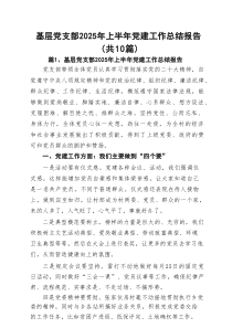 基层党支部2025年上半年党建工作总结报告10篇(最新精选)