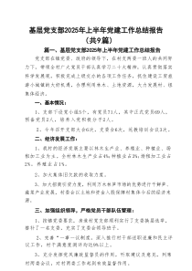 基层党支部2025年上半年党建工作总结报告精选（9篇）