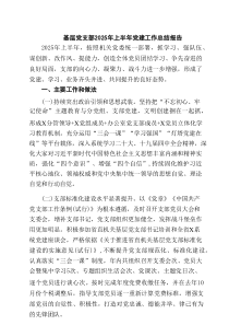 基层党支部2025年上半年党建工作总结报告（5篇精选）