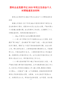 国有企业党委书记2025年民主生活会个人对照检查发言材料