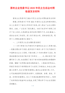国有企业党委书记2025年民主生活会对照检查发言材料