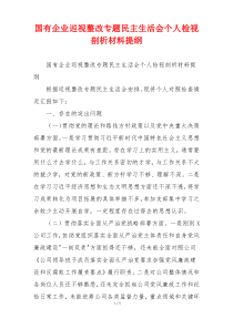 国有企业巡视整改专题民主生活会个人检视剖析材料提纲