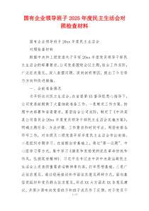 国有企业领导班子2025年度民主生活会对照检查材料