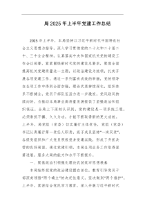 局2025年上半年党建工作总结