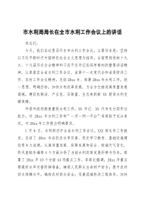 市水利局局长在全市水利工作会议上的讲话