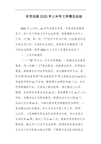 市司法局2025年上半年工作情况总结