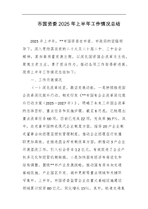 市国资委2025年上半年工作情况总结