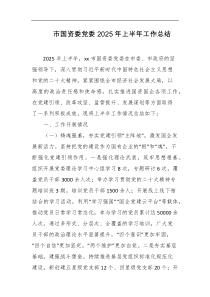 市国资委党委2025年上半年工作总结