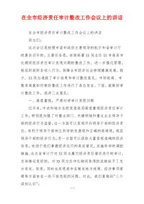 在全市经济责任审计整改工作会议上的讲话