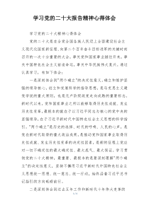 学习党的二十大报告精神心得体会