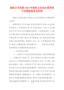 城投公司党委2025年度民主生活会领导班子对照检视发言材料