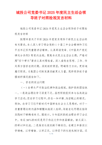 城投公司党委书记2025年度民主生活会领导班子对照检视发言材料