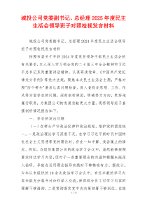 城投公司党委副书记、总经理2025年度民主生活会领导班子对照检视发言材料