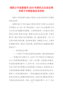 城投公司党委委员2025年度民主生活会领导班子对照检视发言材料