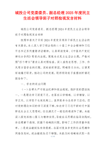 城投公司党委委员、副总经理2025年度民主生活会领导班子对照检视发言材料