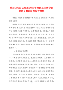 城投公司副总经理2025年度民主生活会领导班子对照检视发言材料