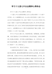学习十九届七中全会精神心得体会