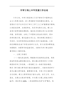 市审计局上半年党建工作总结