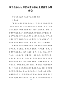 学习在参加江苏代表团审议时重要讲话心得体会