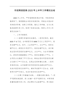 市招商投促局2025年上半年工作情况总结