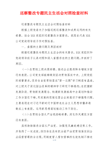 巡察整改专题民主生活会对照检查材料